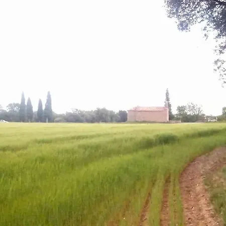 Apartamento El Niuet De Cal Cacuet, La Teva Escapada Rural. *