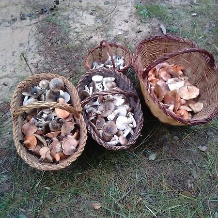Apartamento El Niuet De Cal Cacuet, La Teva Escapada Rural. *